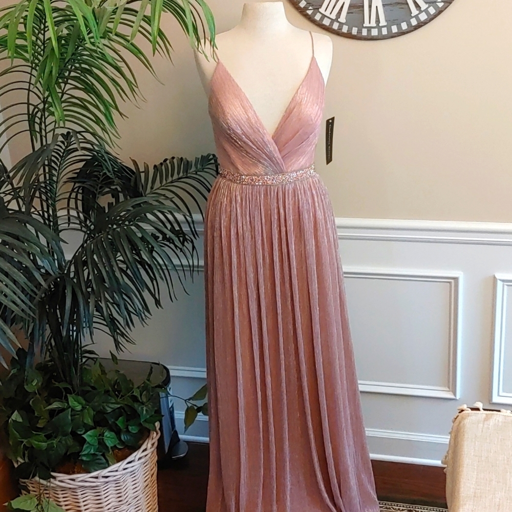 Cinderella Divine Rose Pink/Silver floor length Gown Maxi Size 8
